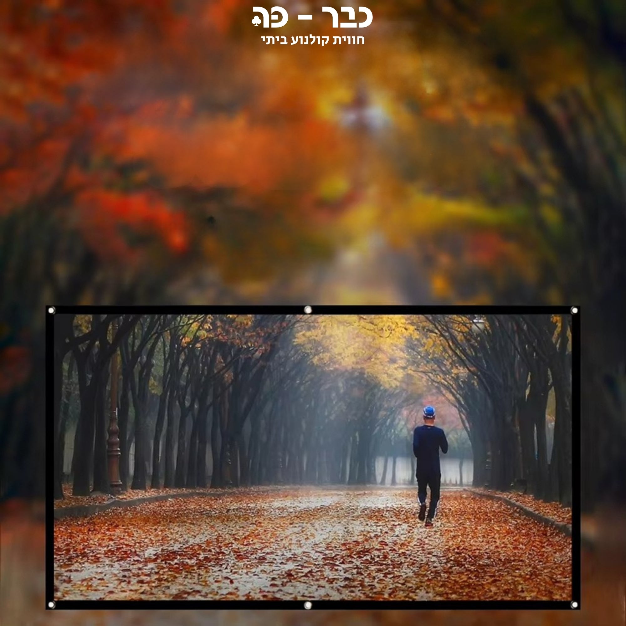 מסך מקרן - תלוי